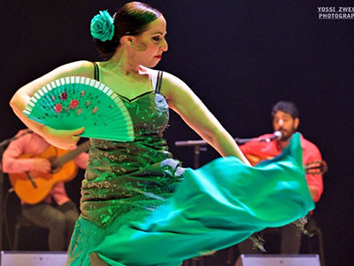 the flamenco show