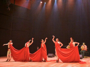 the flamenco show