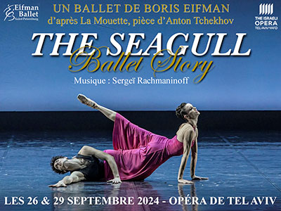 seagull ballet story