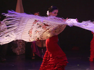 Teritoria by Flamenco Natural