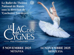 lac des cygnes