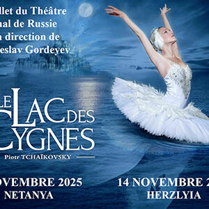 lac des cygnes