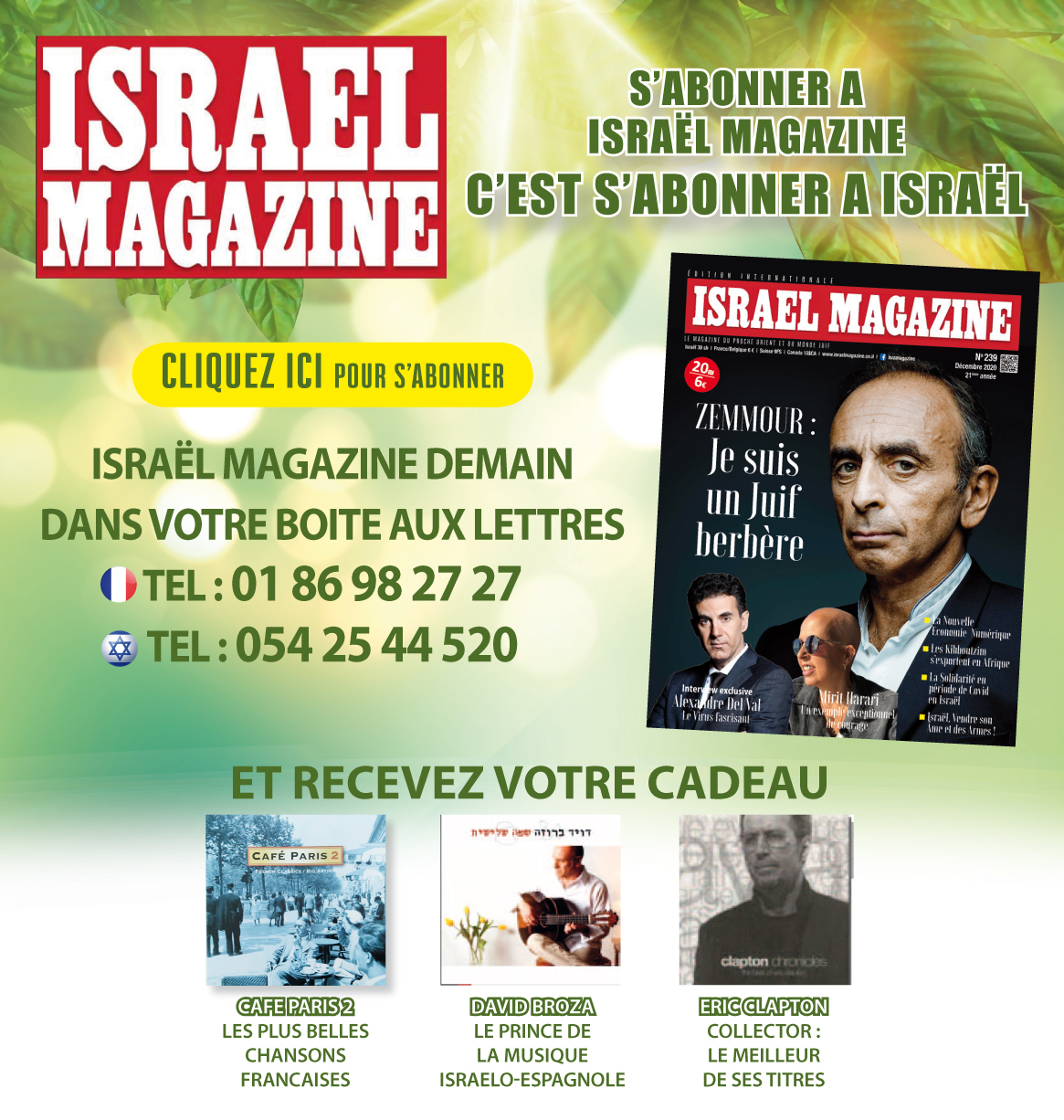 newsletter239
