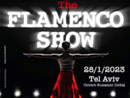 THE FLAMENCO SHOW