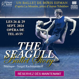 seagull ballet story